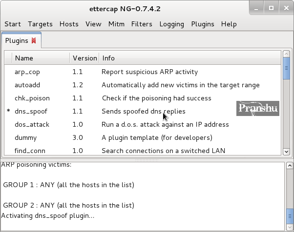 ettercap dns spoof plugin